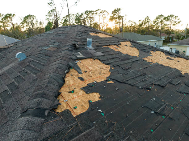 Best Roof Leak Repair  in Rosharon, TX